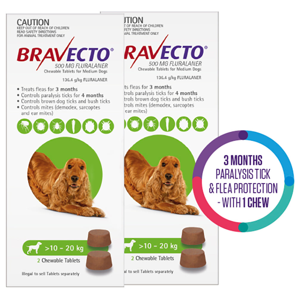 Bravecto For Medium Dogs 10-20Kg (Green)