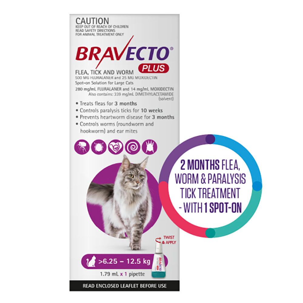 Bravecto Plus for Large Cats 6.25 – 12.5 kg (Purple)