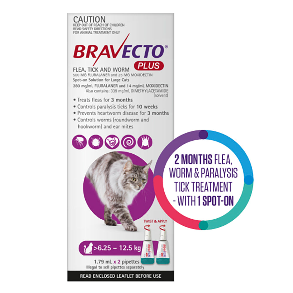 Bravecto Plus for Large Cats 6.25 – 12.5 kg (Purple)