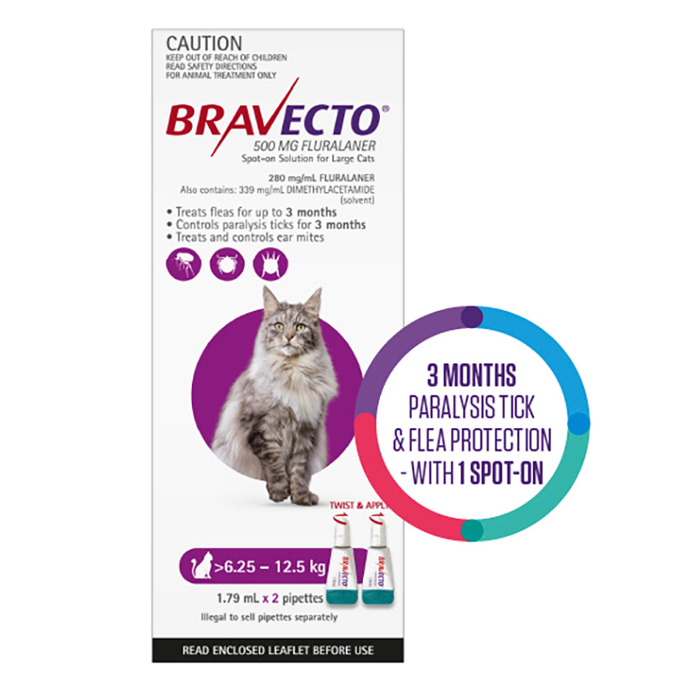 Bravecto Spot On For Large Cats (6.25 - 12.5 kg) Purple