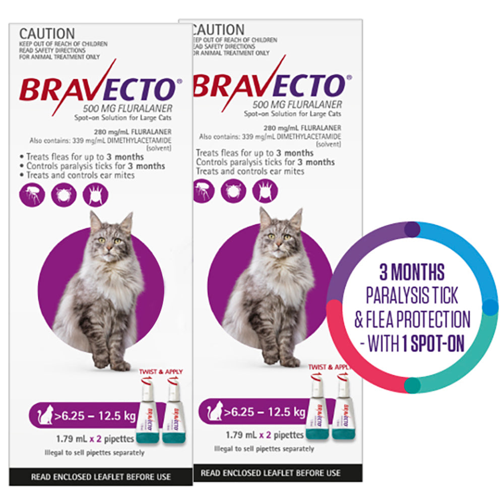 Bravecto Spot On For Large Cats (6.25 - 12.5 kg) Purple