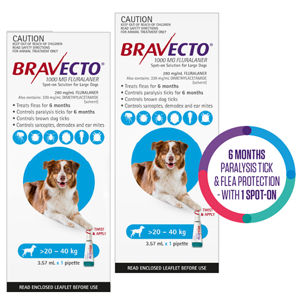 Bravecto Spot On for Large Dogs (20 - 40 kg) Aqua