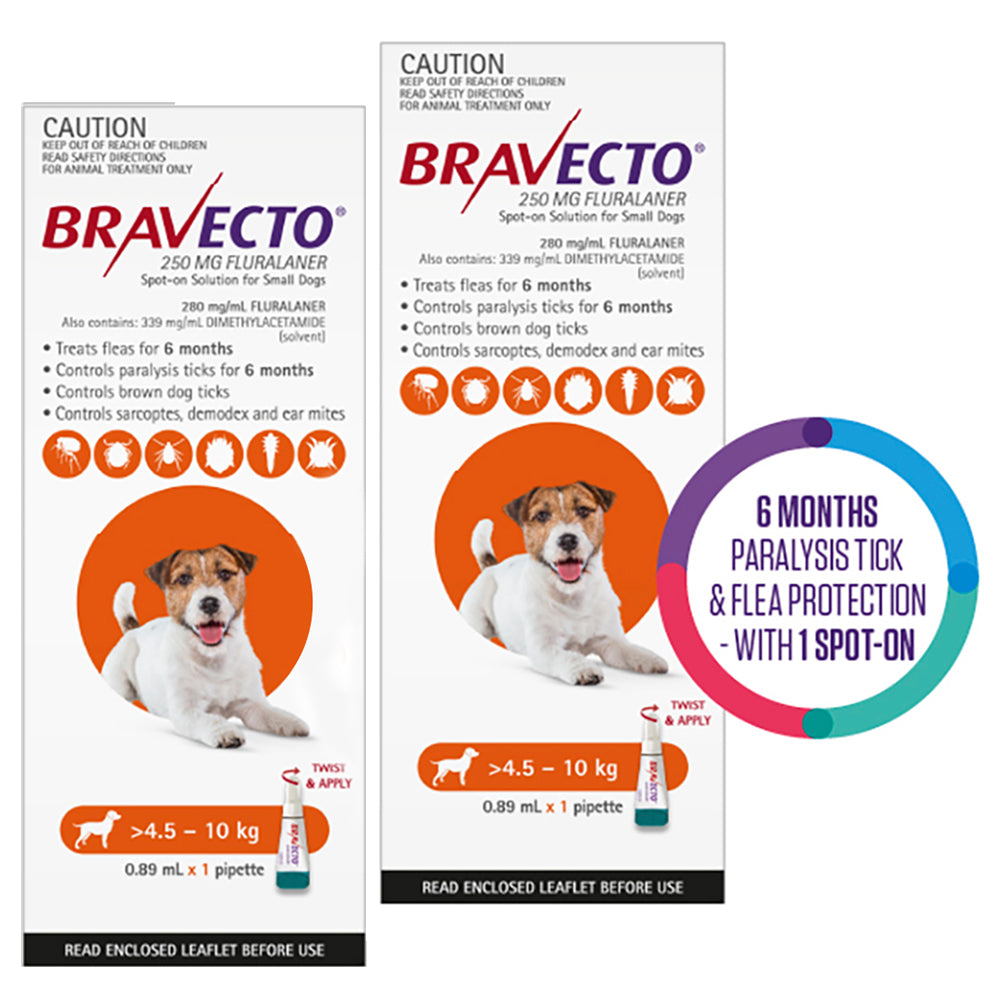 Bravecto Spot On for Small Dogs (4.5-10 Kg) Orange