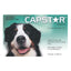 Capstar For Large Dogs over 11Kg (Green)