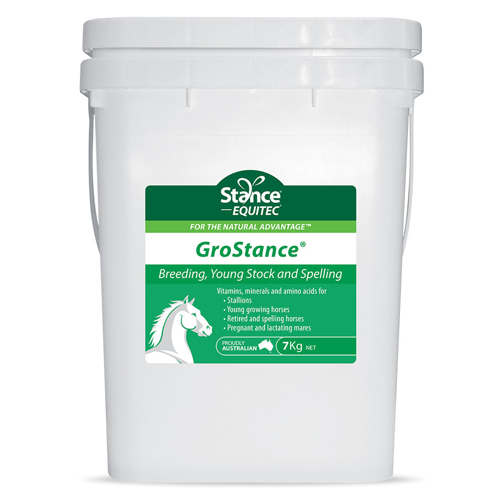 Stance Equitec Grostance for Horses