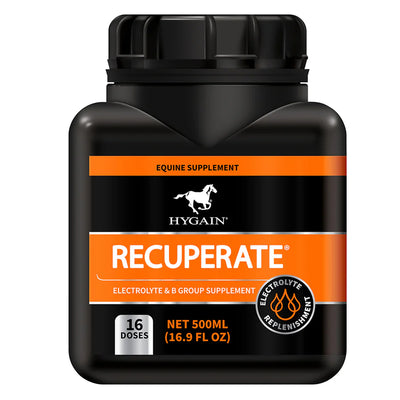 Hygain Recuperate Electrolyte & B Group Supplement for Horse