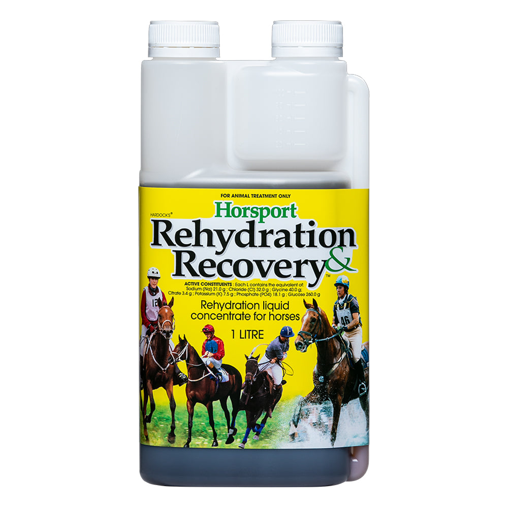 IAH Horsport Rehydration & Recovery for Horse