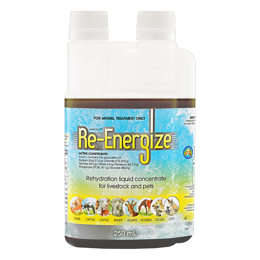 IAH Re-Energize Rehydration Liquid Concentrate for Livestock and Pets