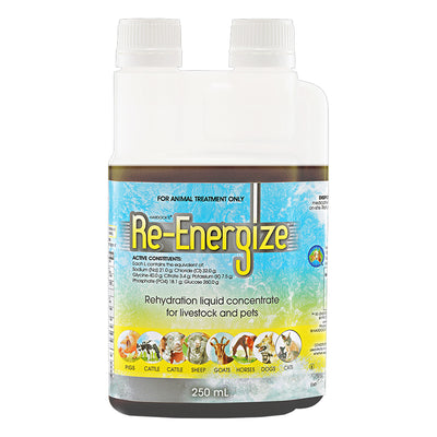 IAH Re-Energize Rehydration Liquid Concentrate for Livestock and Pets