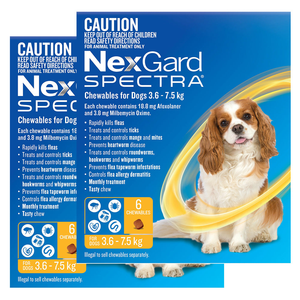 Nexgard Spectra Small Dogs (3.6 - 7.5kg) Yellow