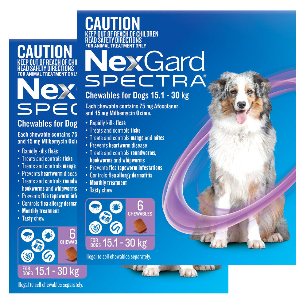 Nexgard Spectra Large Dogs (15.1 - 30kg) Purple