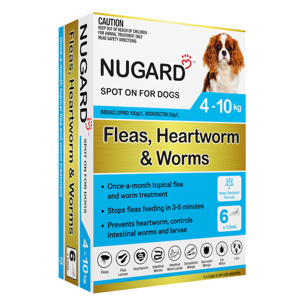 Nugard Spot on for Dogs 4 To 10Kg (Teal)