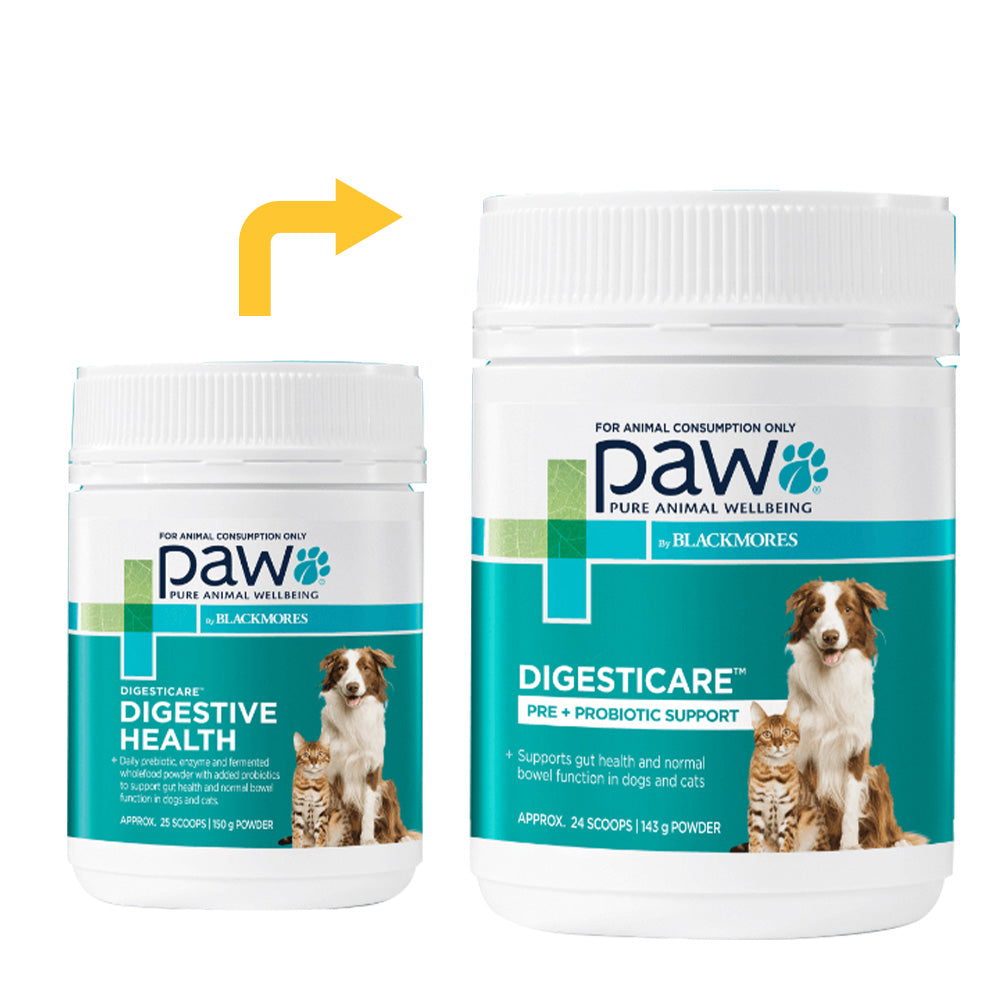 Paw Digesticare Pre + Probiotic Support for Dogs and Cats