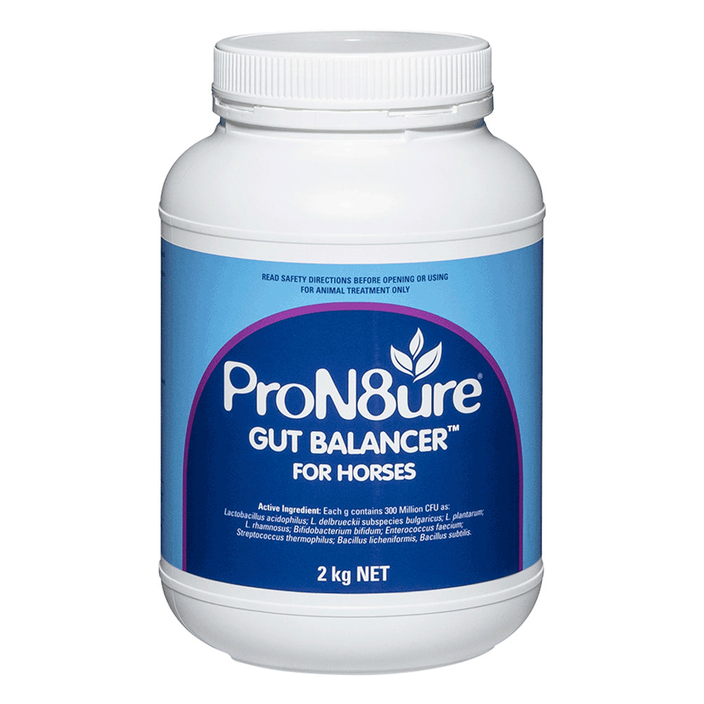 ProN8ure Gut Balancer for Horses