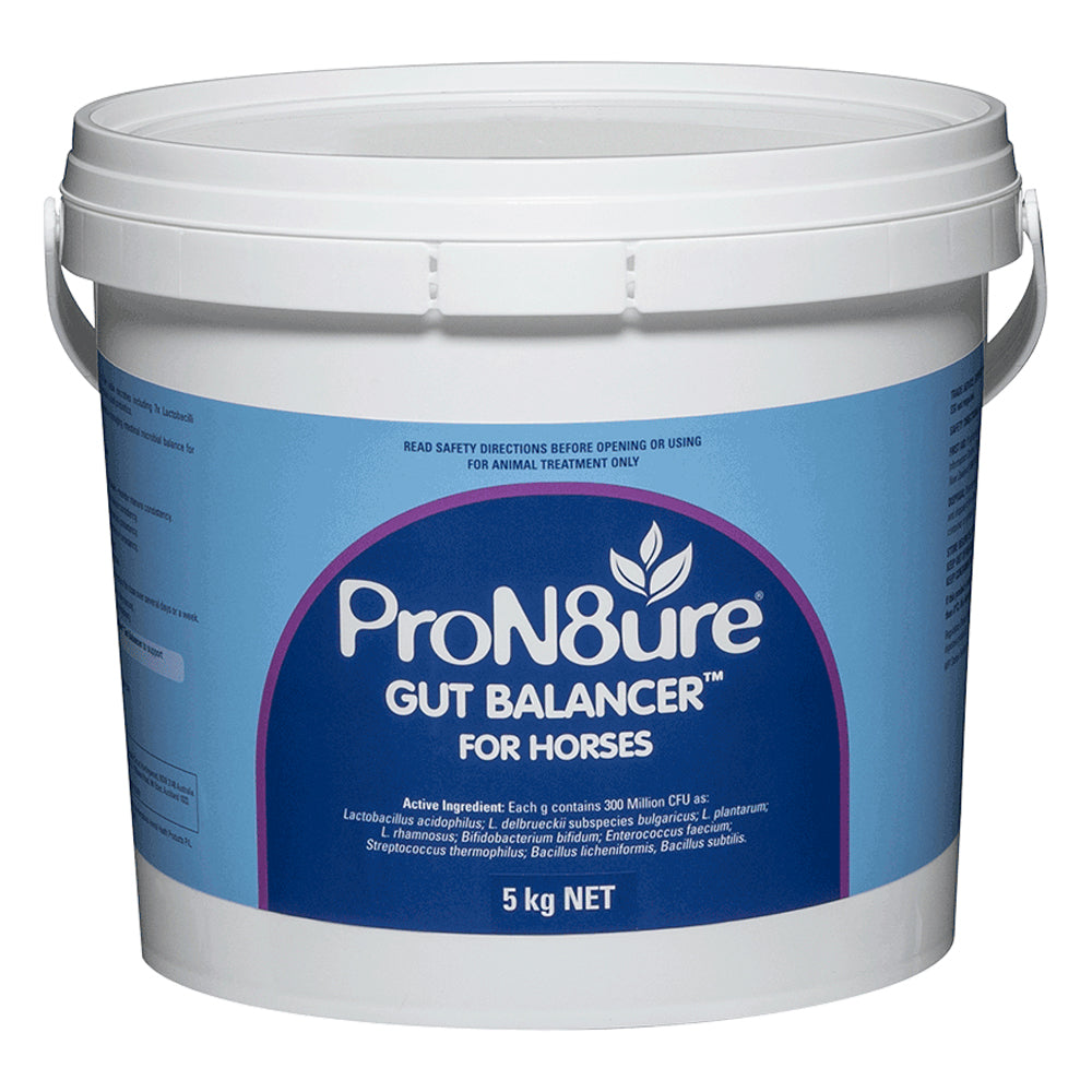 ProN8ure Gut Balancer for Horses