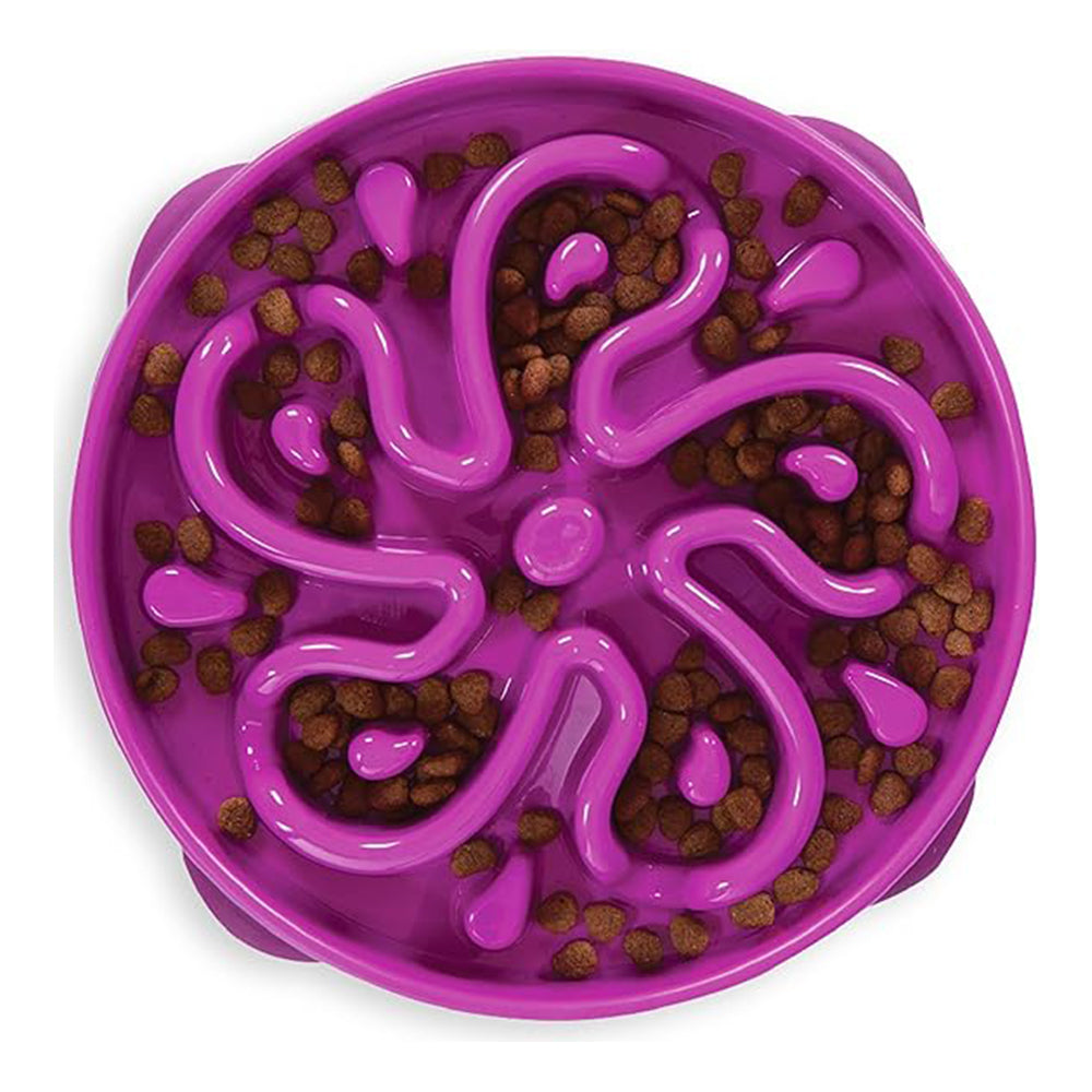 Outward Hound Fun Feeder Slo Bowl For Dogs