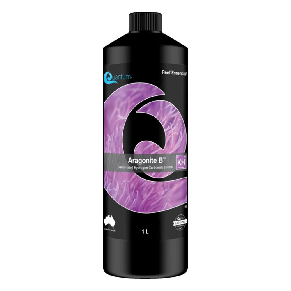 Quantum Aragonite B