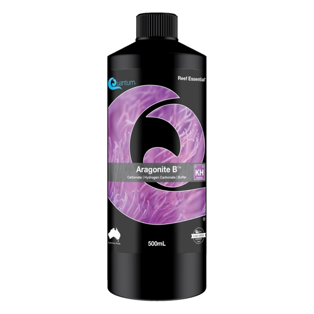 Quantum Aragonite B