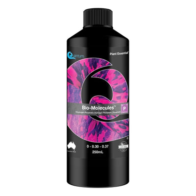 Quantum Bio-Molecules