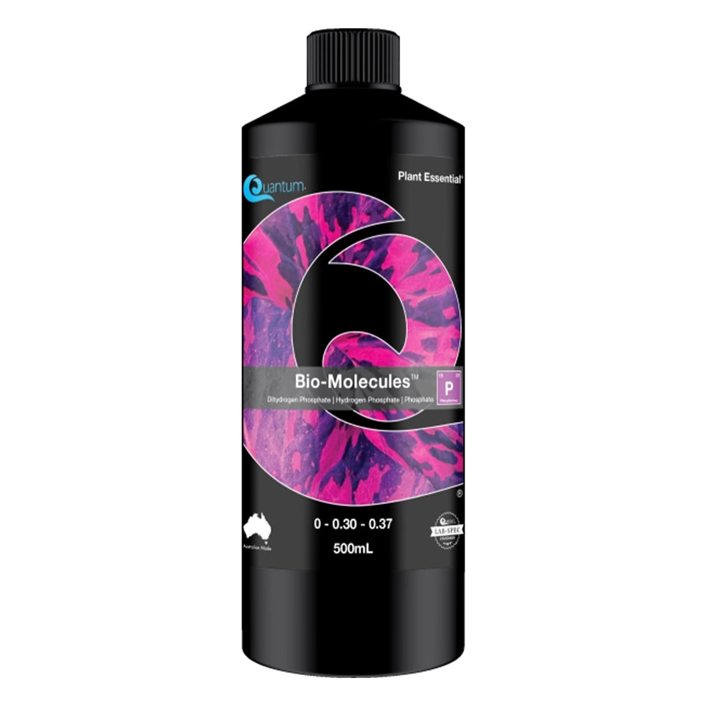 Quantum Bio-Molecules