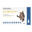 Revolution (Selamectin) - Large Cats (Blue)