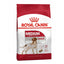 Royal Canin Medium Adult Dry Dog Food