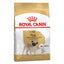 Royal Canin Pug Adult Dry Dog Food