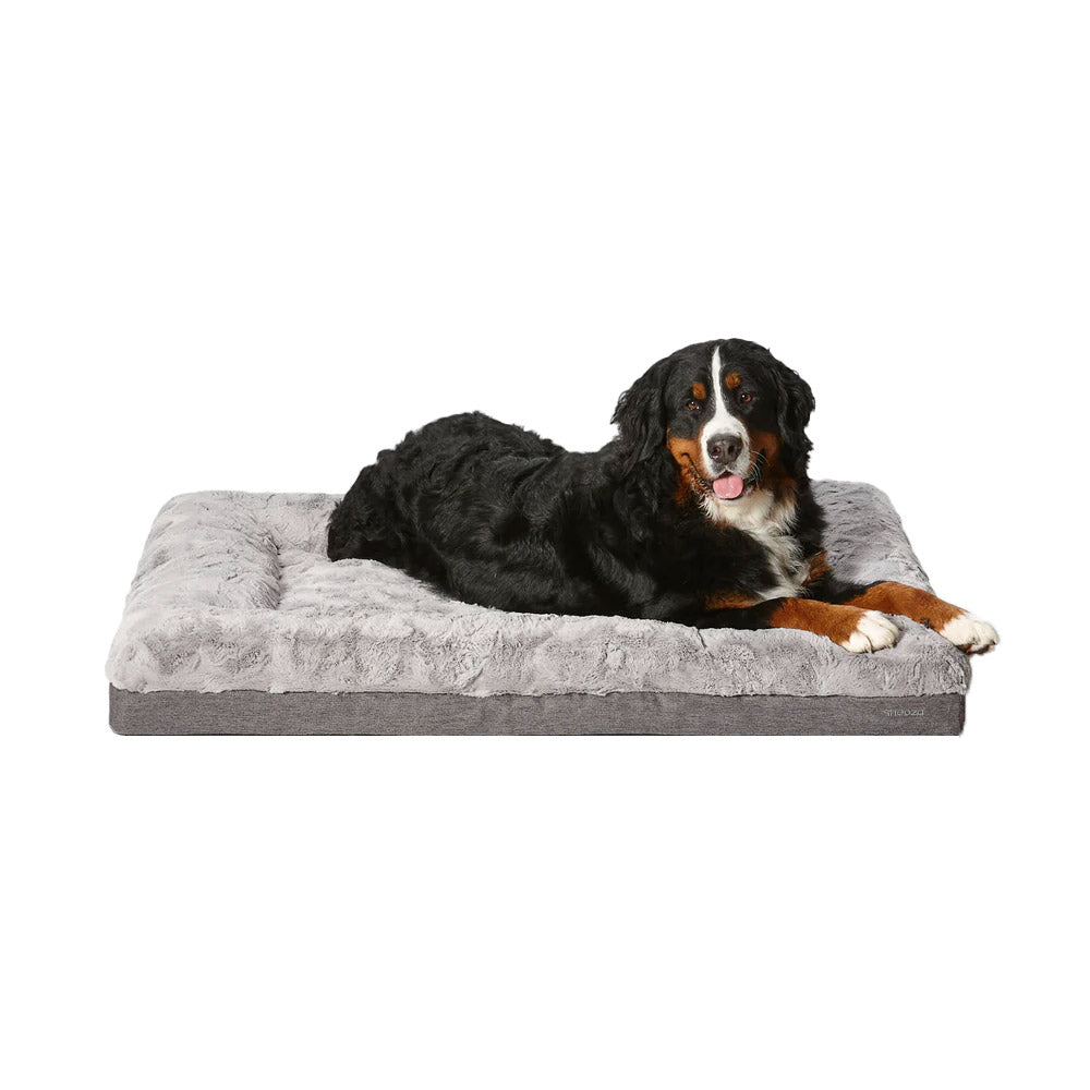 Snooza Ultra Comfort Lounge for Dogs