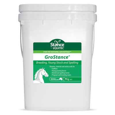 Stance Equitec Grostance for Horses