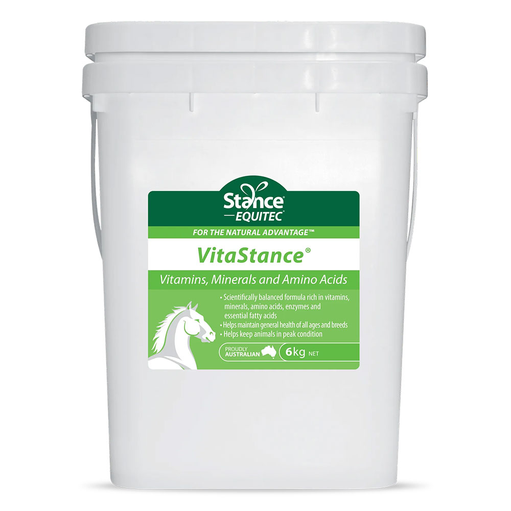 Stance Equitec Vitastance for Horses