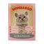 Wombaroo Cat Milk Replacer